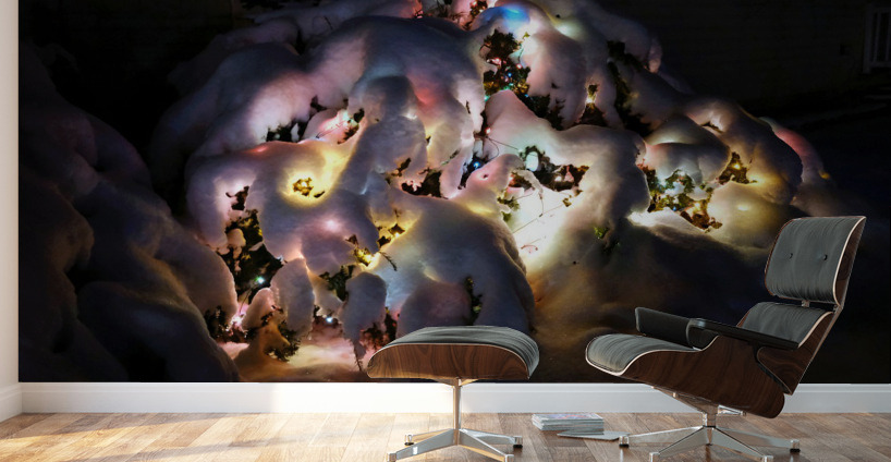 Frozen Christmas 2B Wall Murals