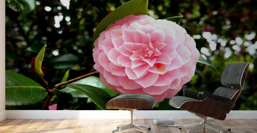 Blooms of Joy 1B Wall Murals