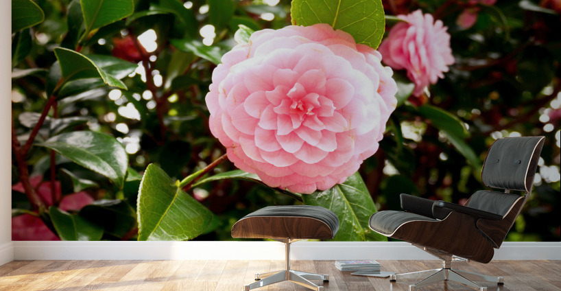 Blooms of Joy 1 Wall Murals