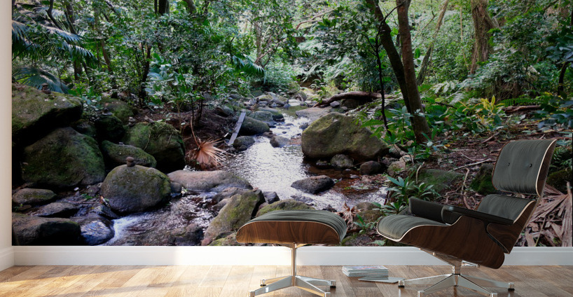 Hiking Hawaii Water Flow B Wall Murals