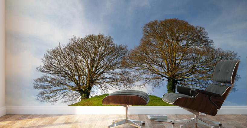 Standing Guard Wall Murals