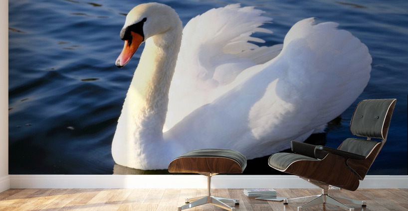 Wings of Love 1A Wall Murals