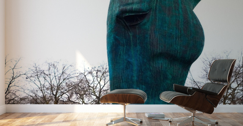 Horsehead Sculpture 2B Wall Murals