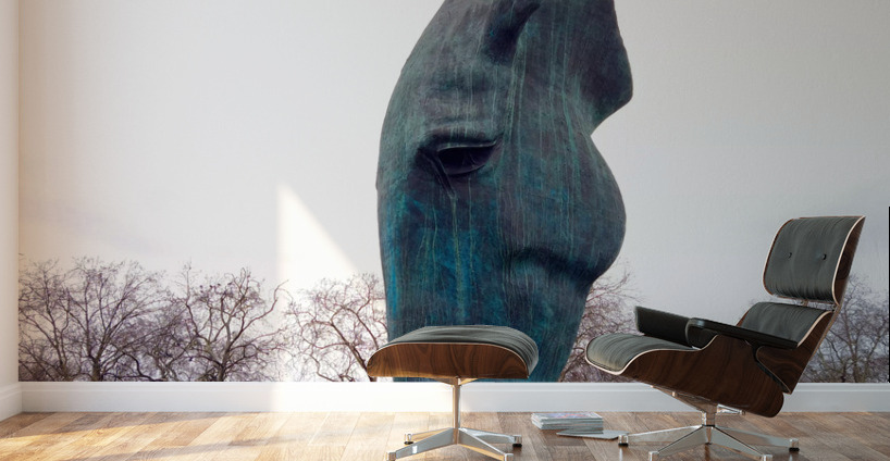 Horsehead Sculpture 2 Wall Murals