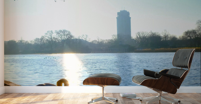 Swan Yoga Morning Stretch 2 Wall Murals