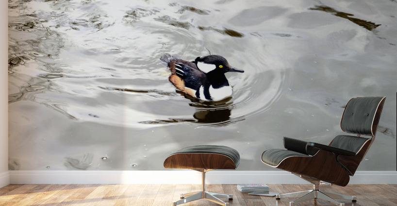 Only The Lonely Loon Wall Murals