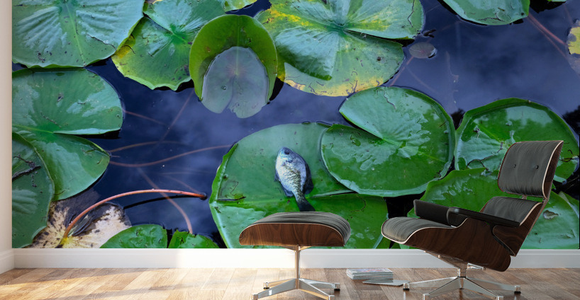 Resting Above the Depths Wall Murals