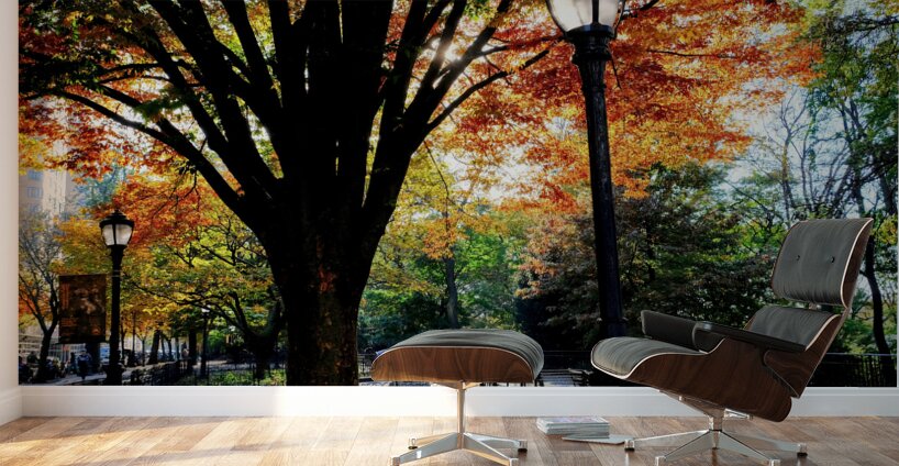 Autumn Radiance Wall Murals