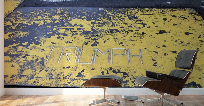 Urban Triumph Wall Murals