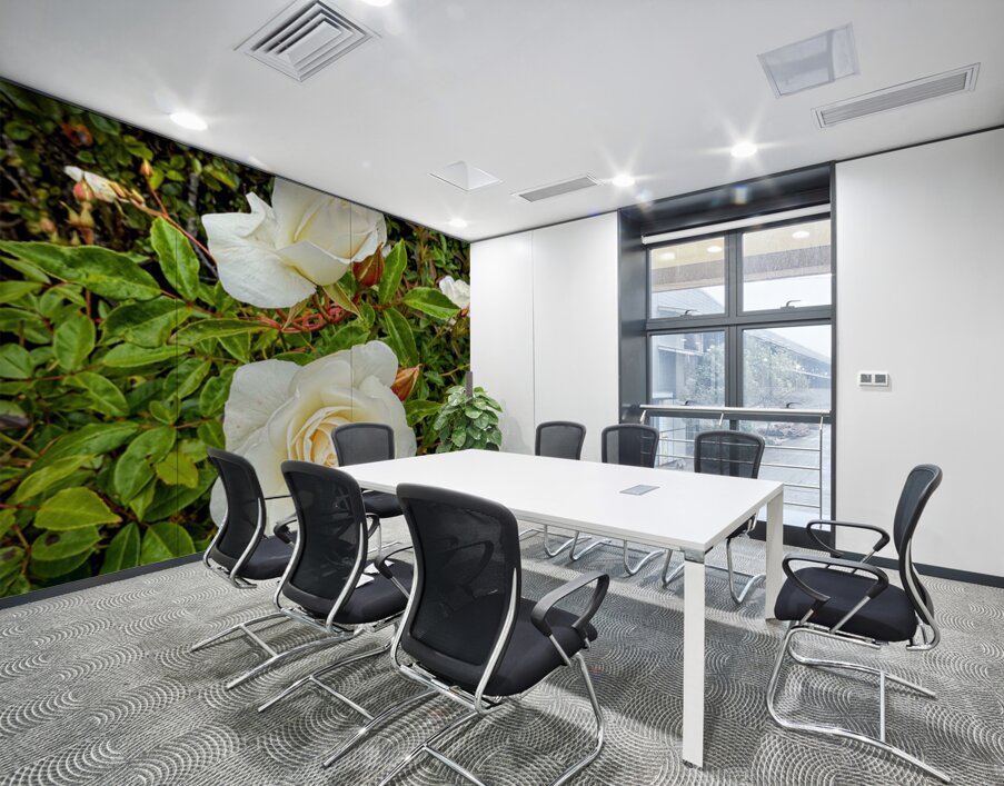 White Rose: Porcelain Breeze Wall Printing