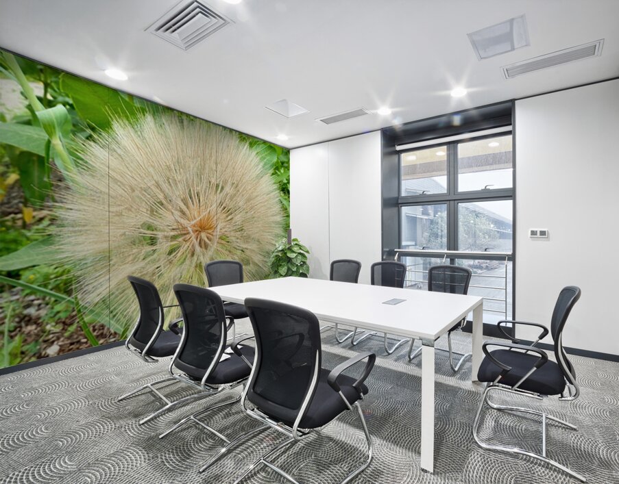 Prairie Starburst: A Prayer in Plant Form Wall Printing