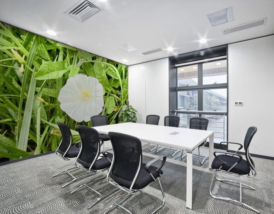 One Wild Bloom : Bindweed Focus Wall Printing