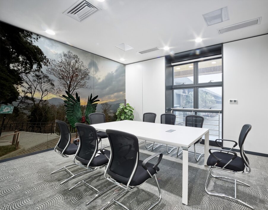 IMG 0467 Wall Printing