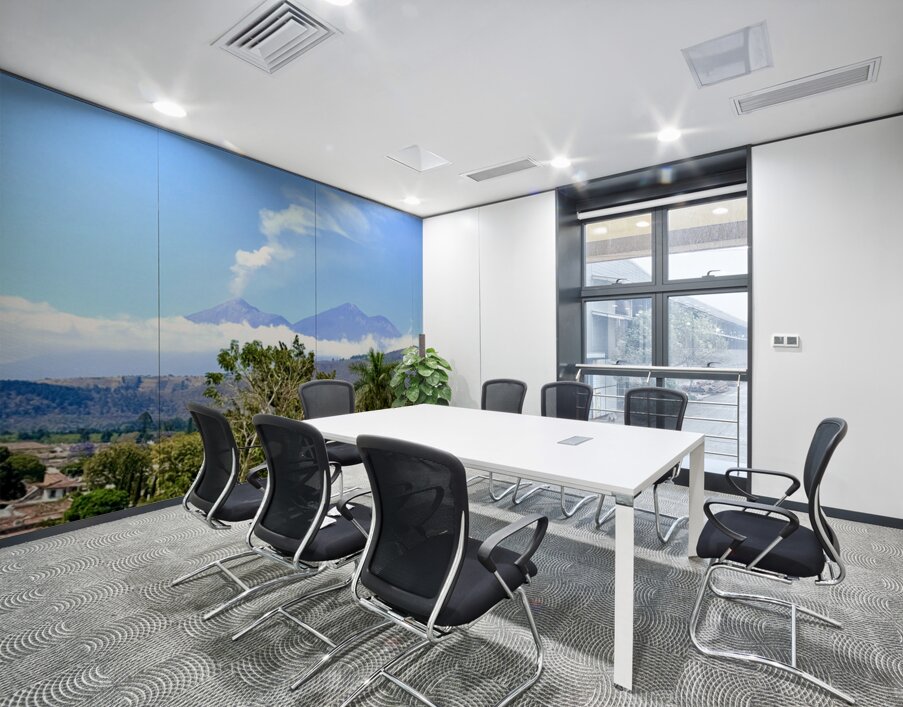 IMG 0148 Wall Printing