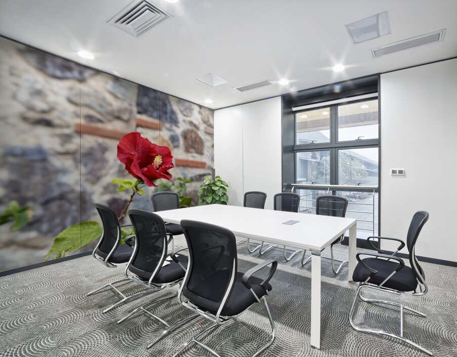 IMG 9956 Wall Printing