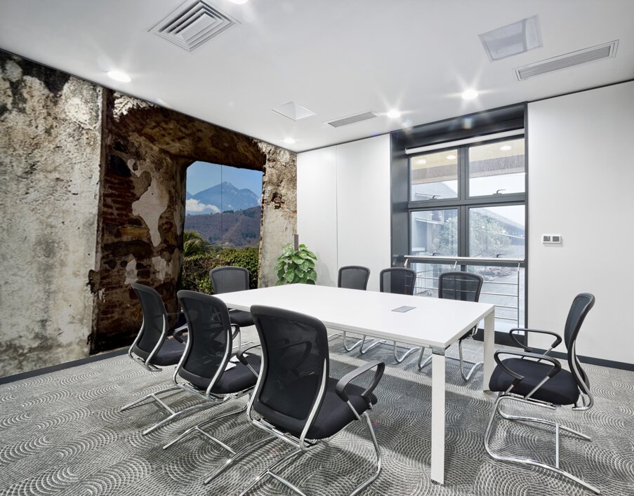 IMG 0101 Wall Printing