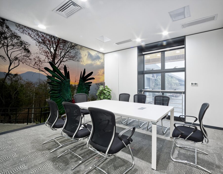 IMG 0496 Wall Printing