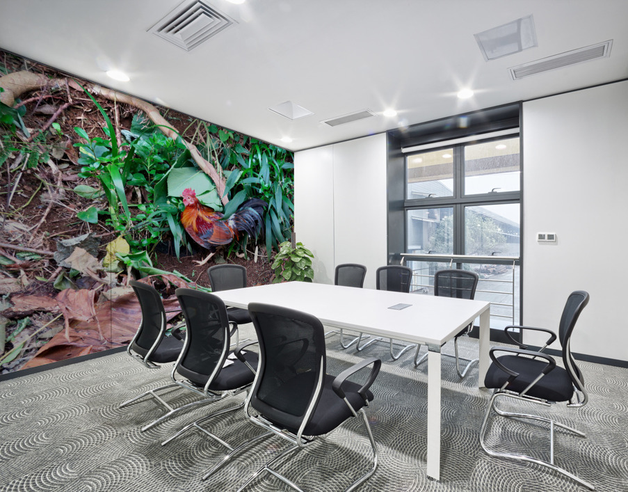 Cock in the Wild Wall Printing