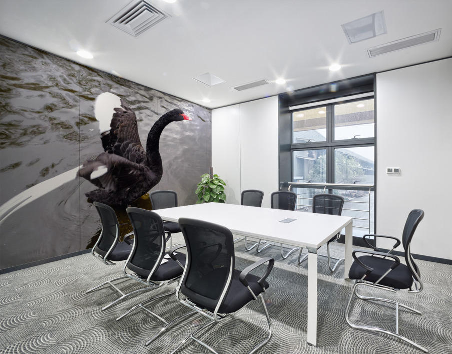 A Black Swan Moment 2 Wall Printing