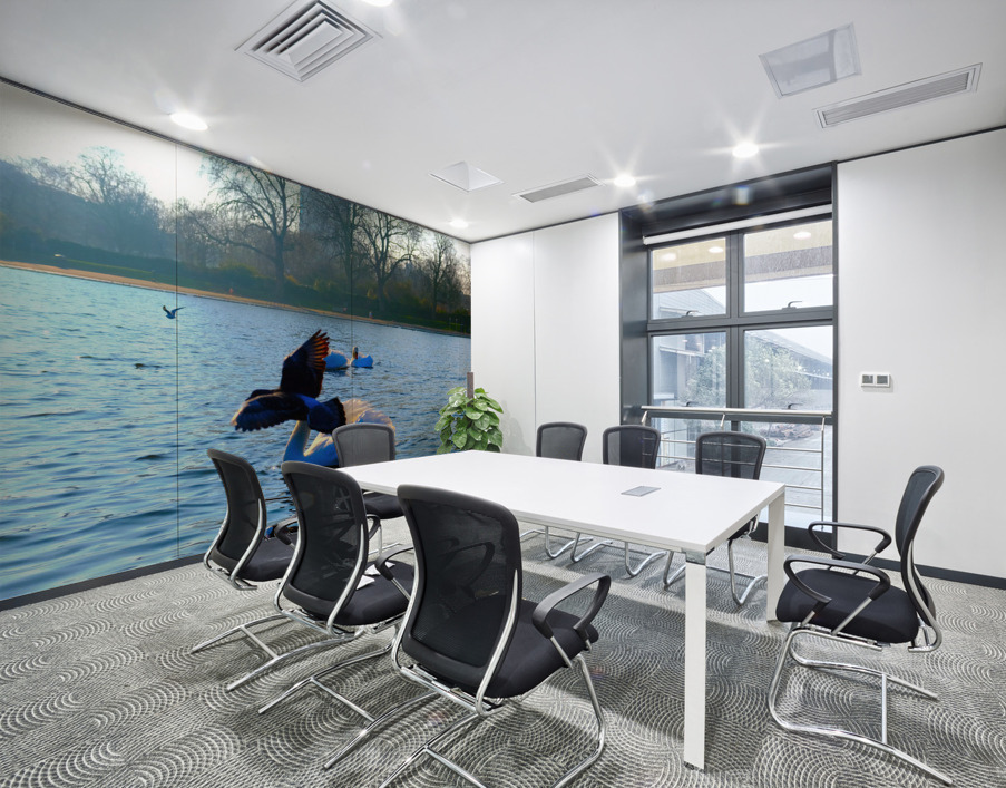 Pigeon-bombed Swan Wall Printing