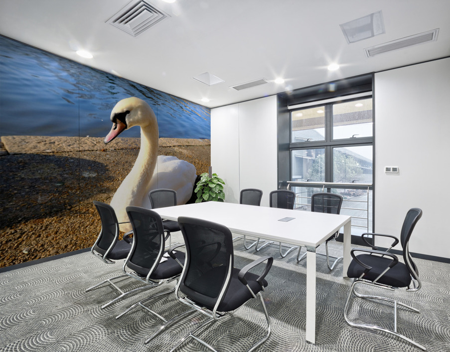 Swan Poses 1B Wall Printing