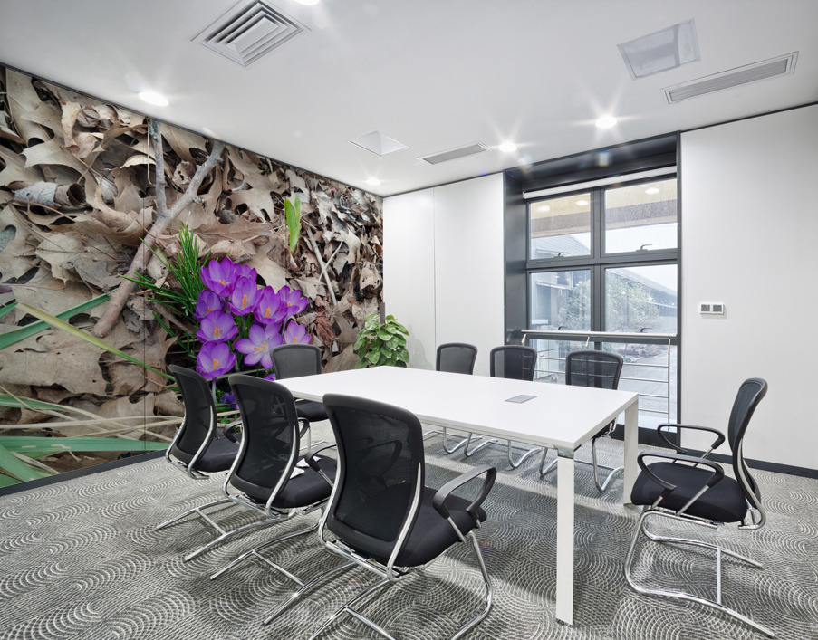 Crocus Rising Wall Printing