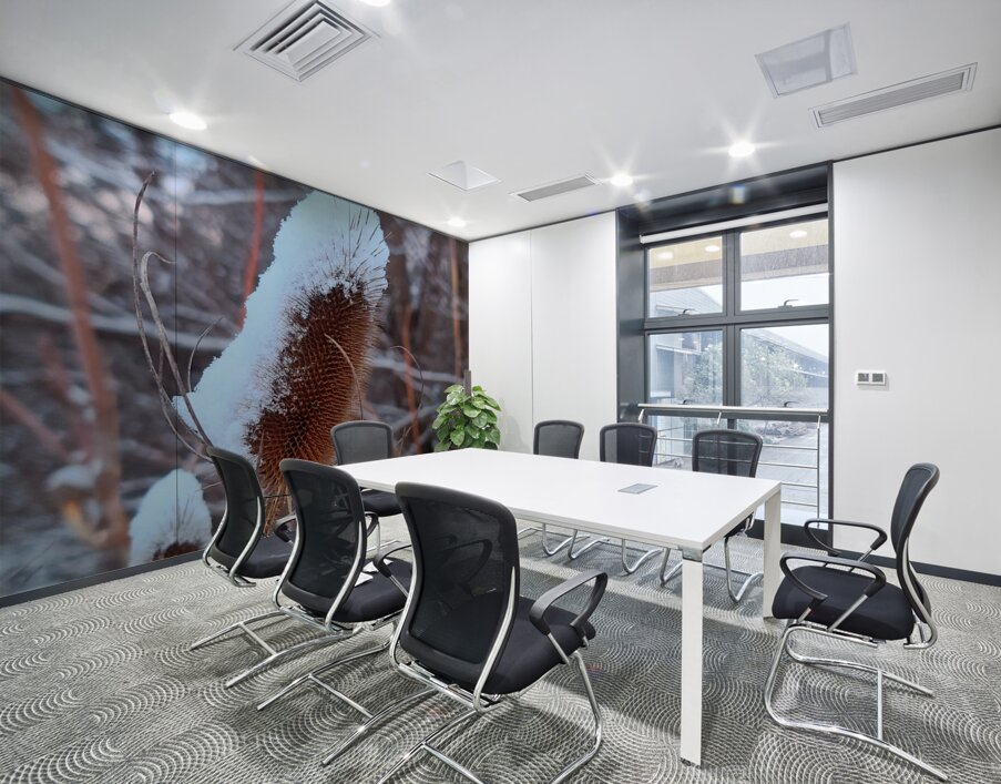 Thorny Lollipop Winter Thistle  Wall Printing