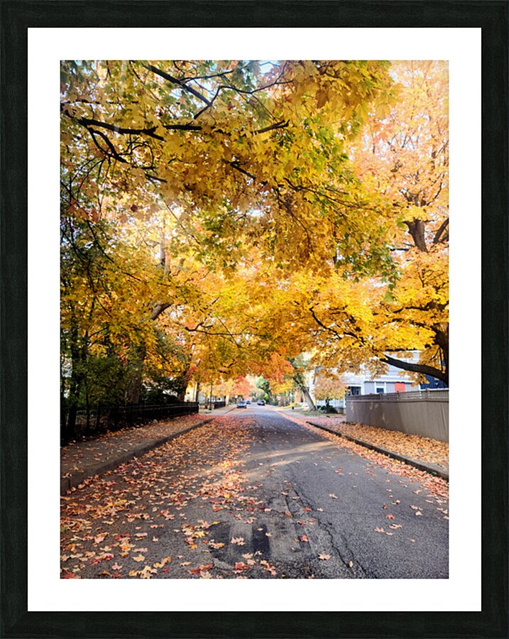Fall Over the Road: Amber Dreams on Autumn Drive Picture Frame print