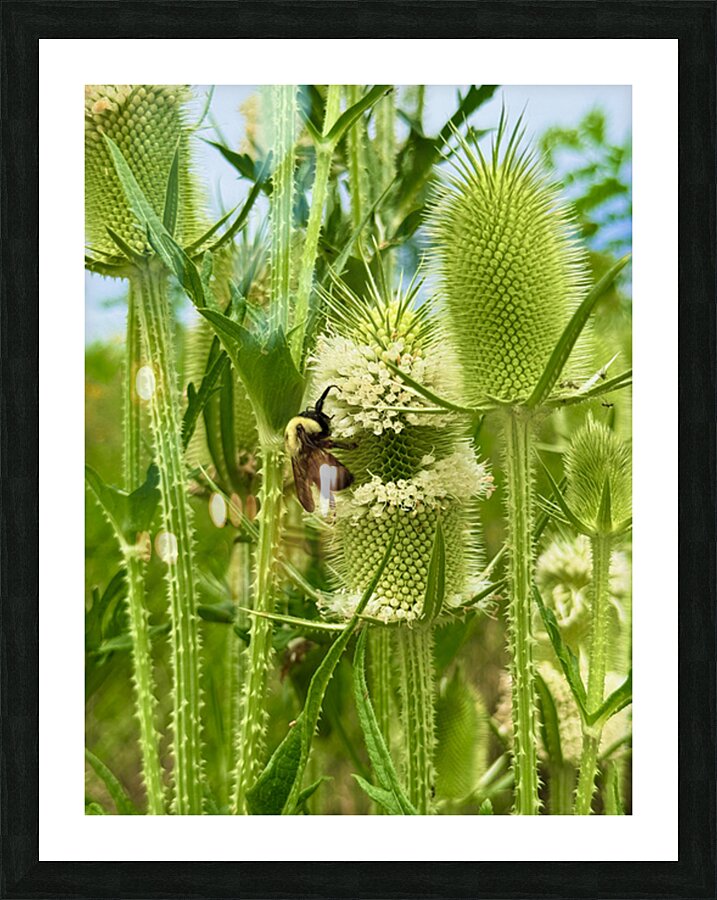 Wings and Spikes Picture Frame print
