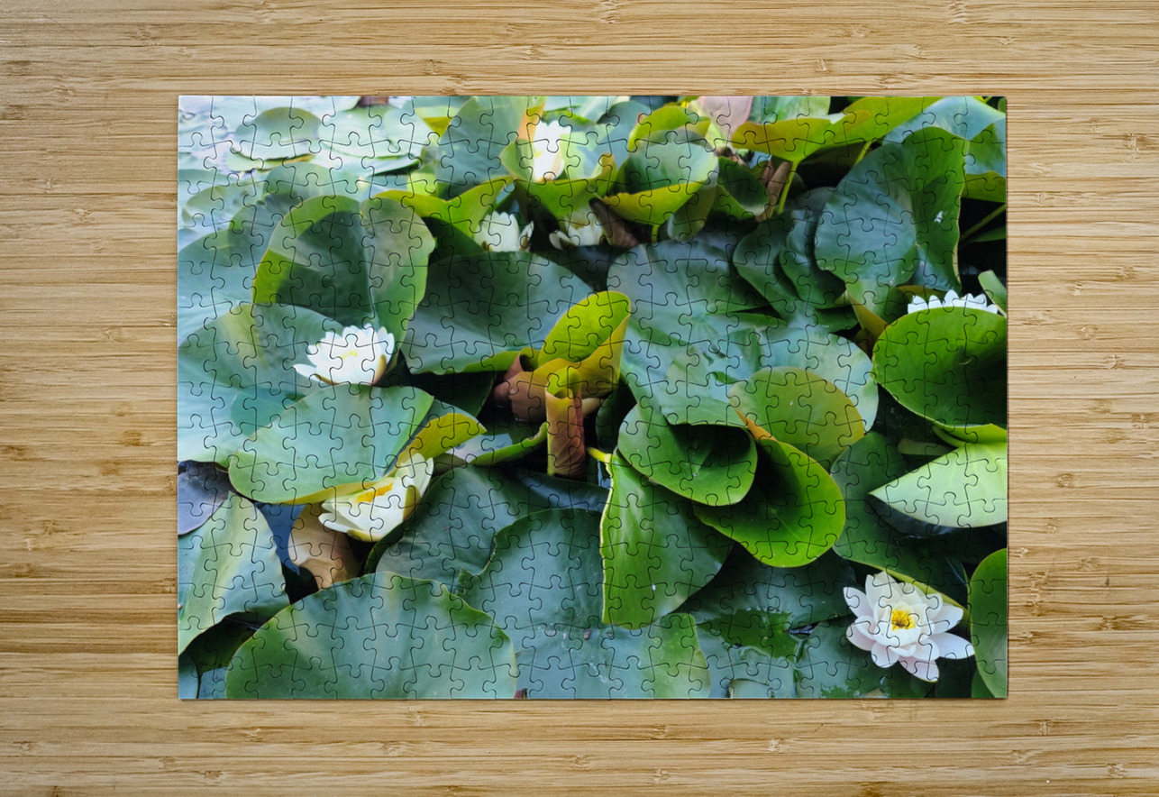 Nature’s Quiet Triumph Click4Pix Puzzle printing