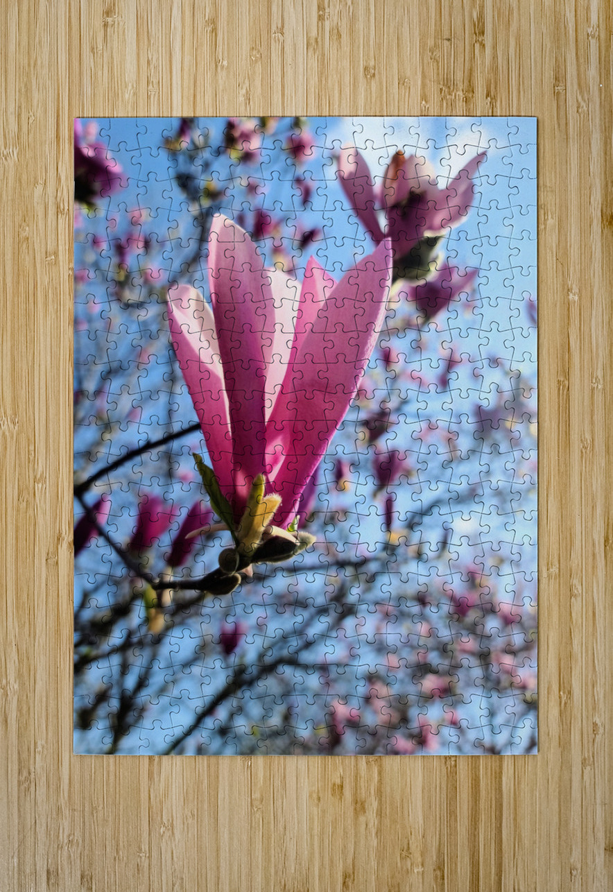 Pink Petals in Warm Light Click4Pix Puzzle printing