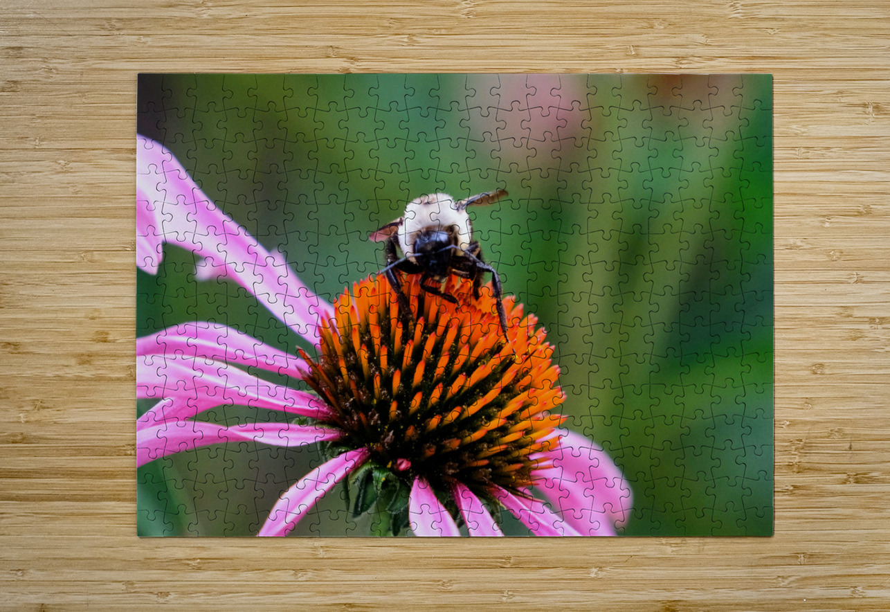 The Golden Heart of the Purple Coneflower Click4Pix Puzzle printing