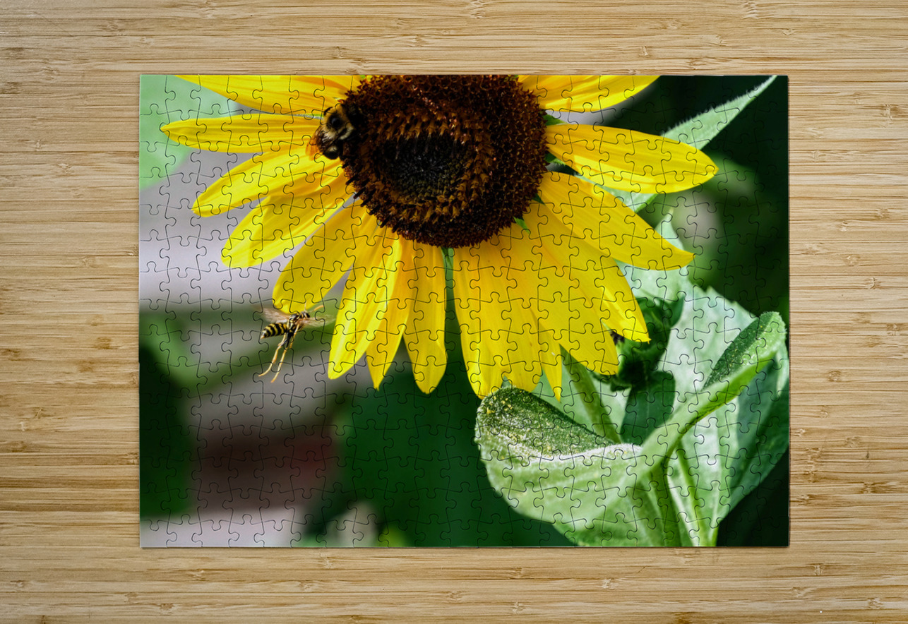Dance of the Sunflower Spirits Click4Pix Puzzle printing
