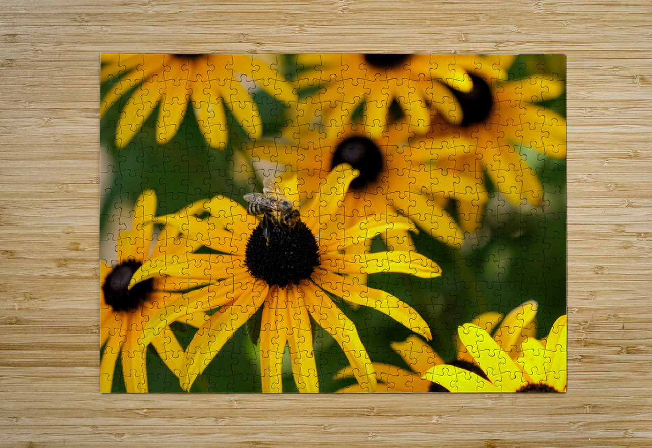 Bee A Black-Eyed Susan Secret Guest Click4Pix Puzzle printing