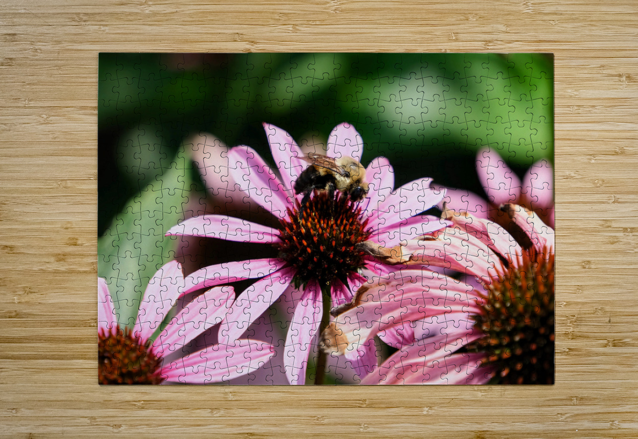 Coneflower and the Resting Wanderer Click4Pix Puzzle printing