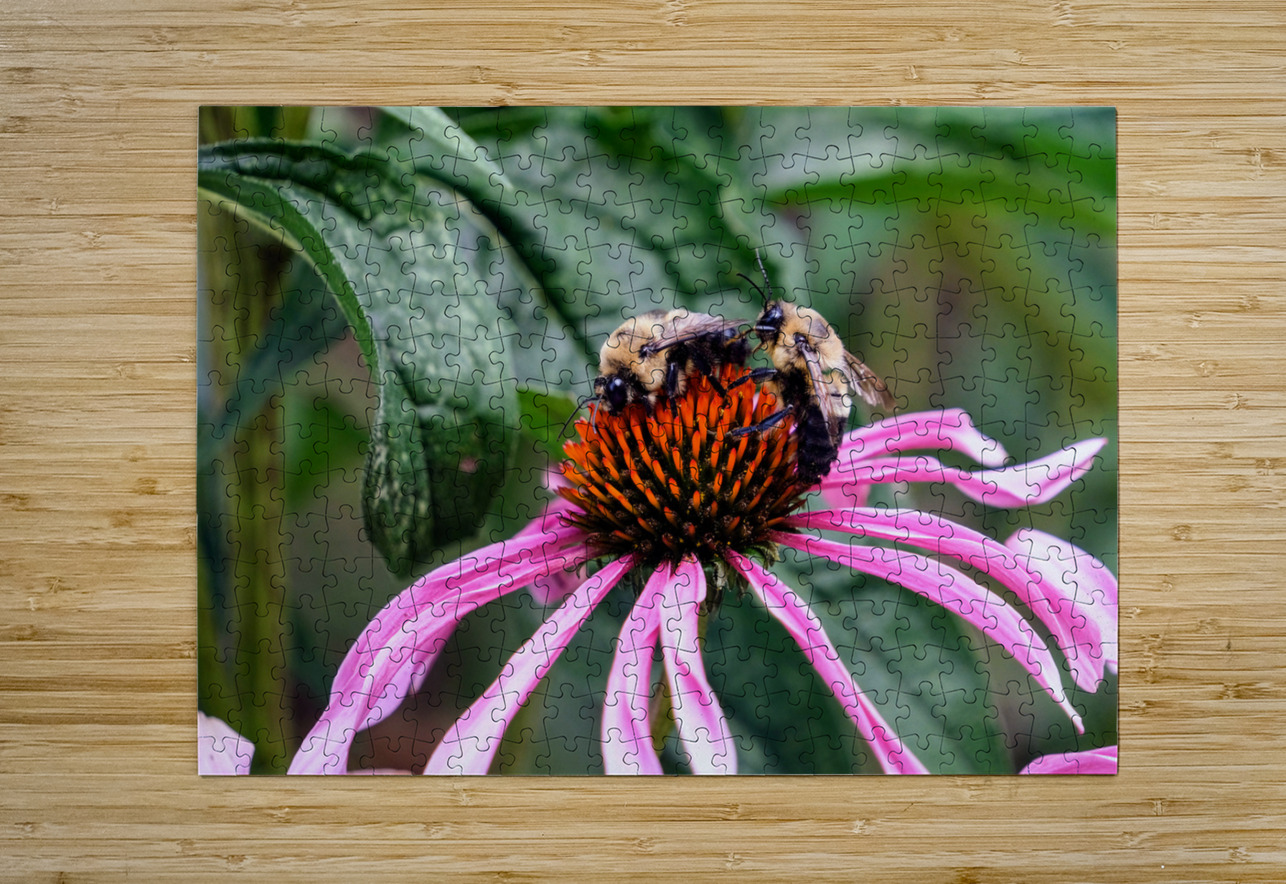 Dual Architects of Life on a Coneflower Stage Click4Pix Puzzle printing