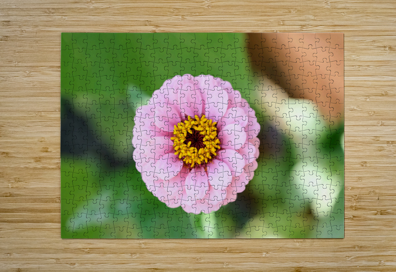 Pretty in Pink Zinnia:  Soft Celestial from Earth’s Garden Click4Pix Puzzle printing
