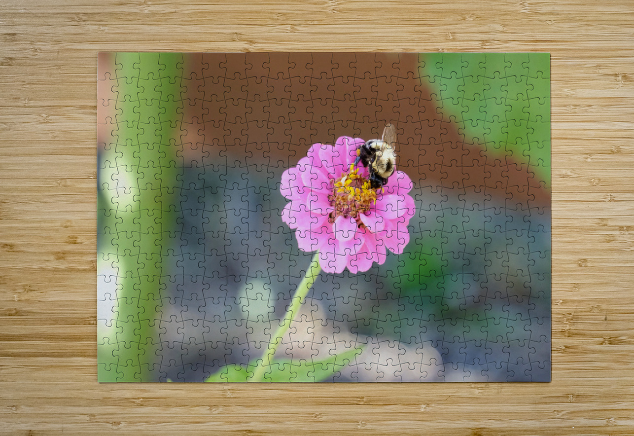 The Quiet Provider: Portrait of Pollination Click4Pix Puzzle printing