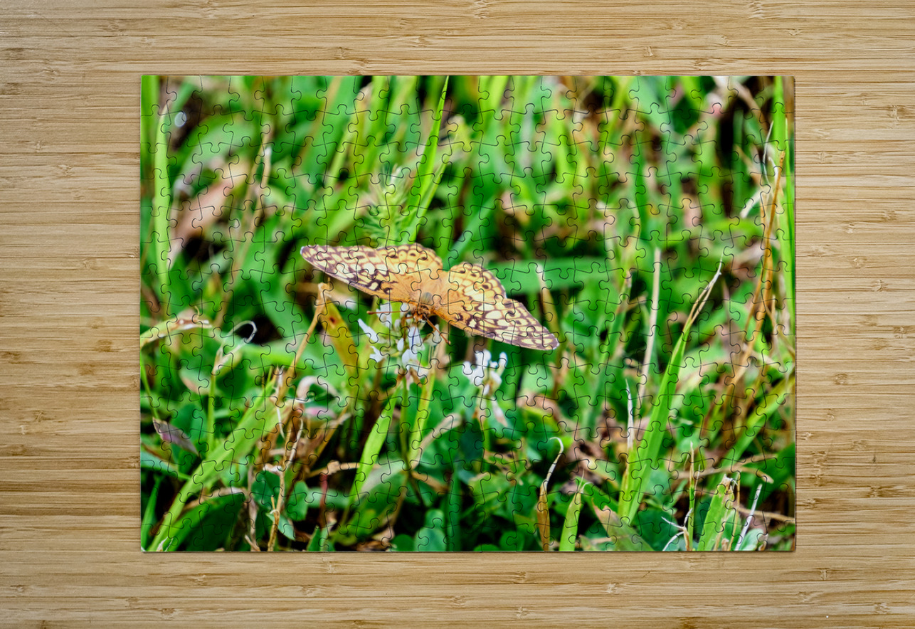 Buttery Butterfly as Omen of Calm Click4Pix Puzzle printing