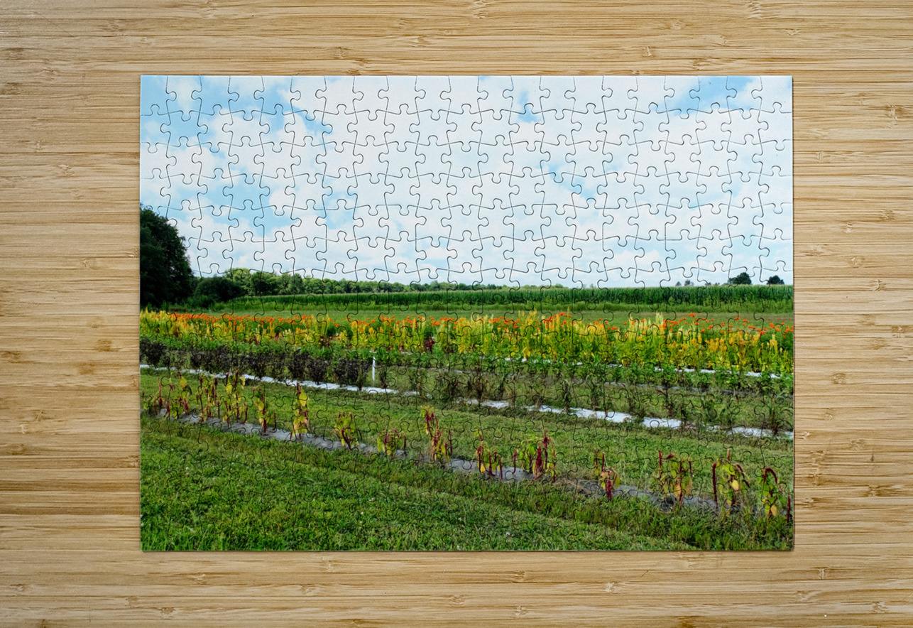 The Silent Pulse of Cultivation Click4Pix Puzzle printing