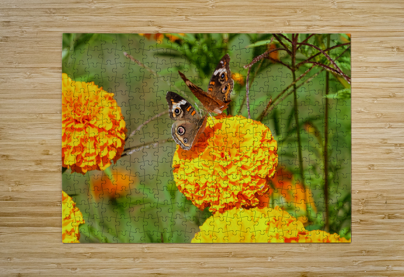In Bloom and Flight: A Conversation in Color Click4Pix Puzzle printing