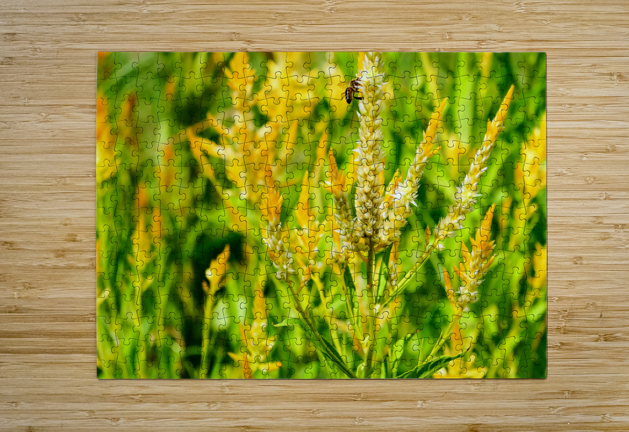 Yellow Wool Flower: Fields of Fire and Flight Click4Pix Puzzle printing