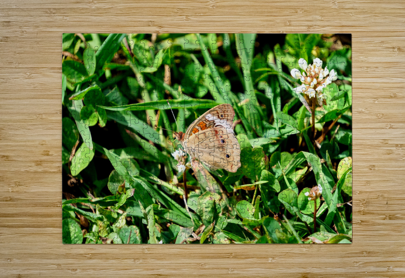 Ephemeral Spirits in Green Silence Click4Pix Puzzle printing