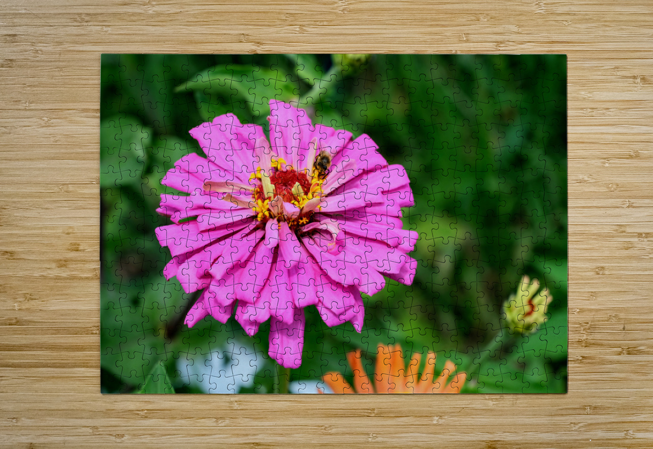 Buzzing Secrets of a Summer Queen Click4Pix Puzzle printing