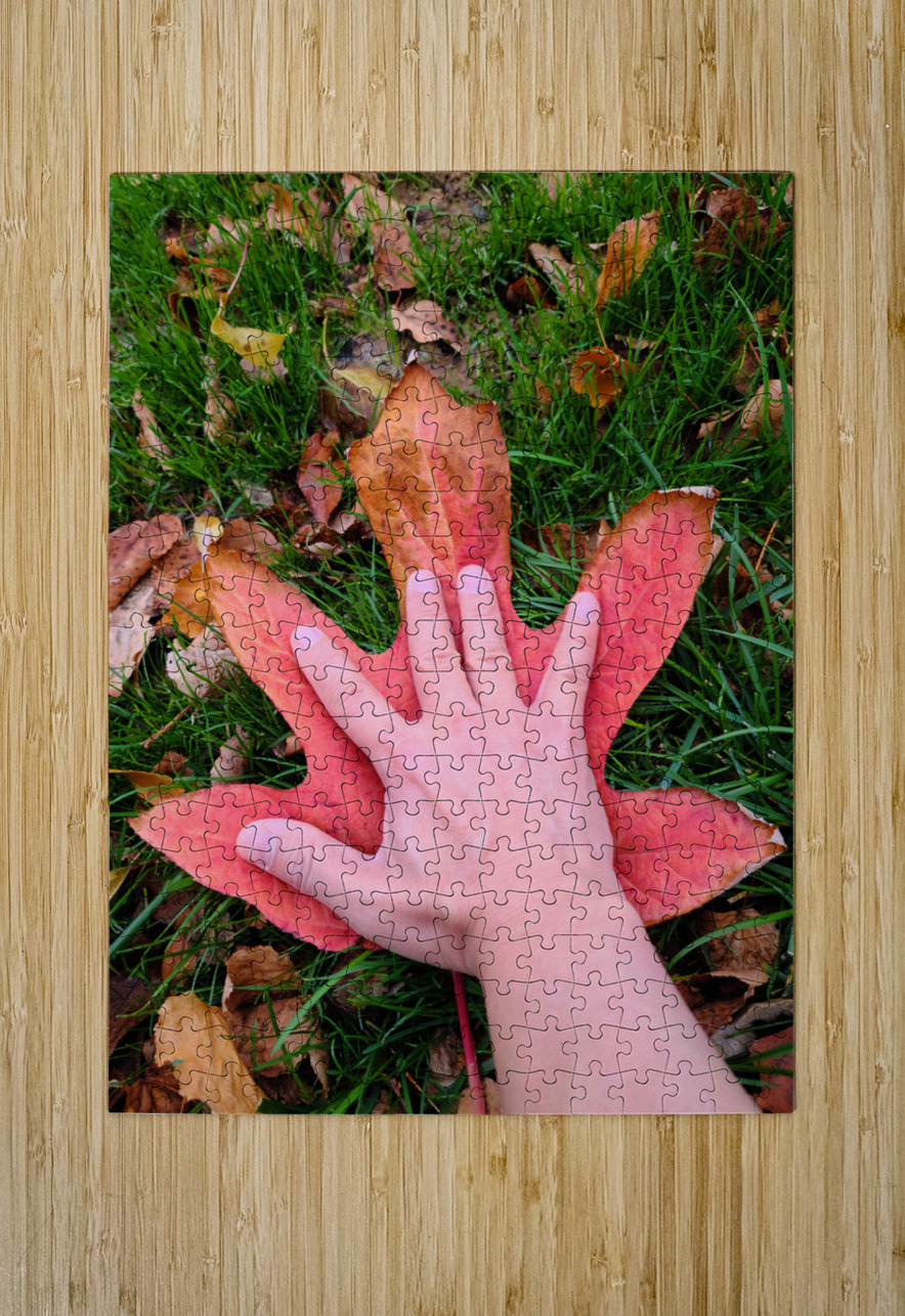 Holding Onto Fall : The Last Touch of Autumn Click4Pix Puzzle printing