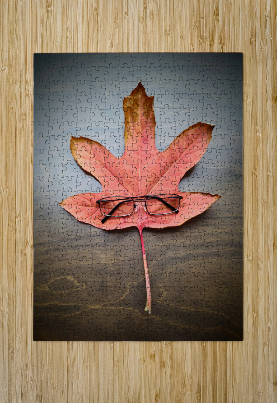 Losing Sight of Fall Click4Pix Puzzle printing
