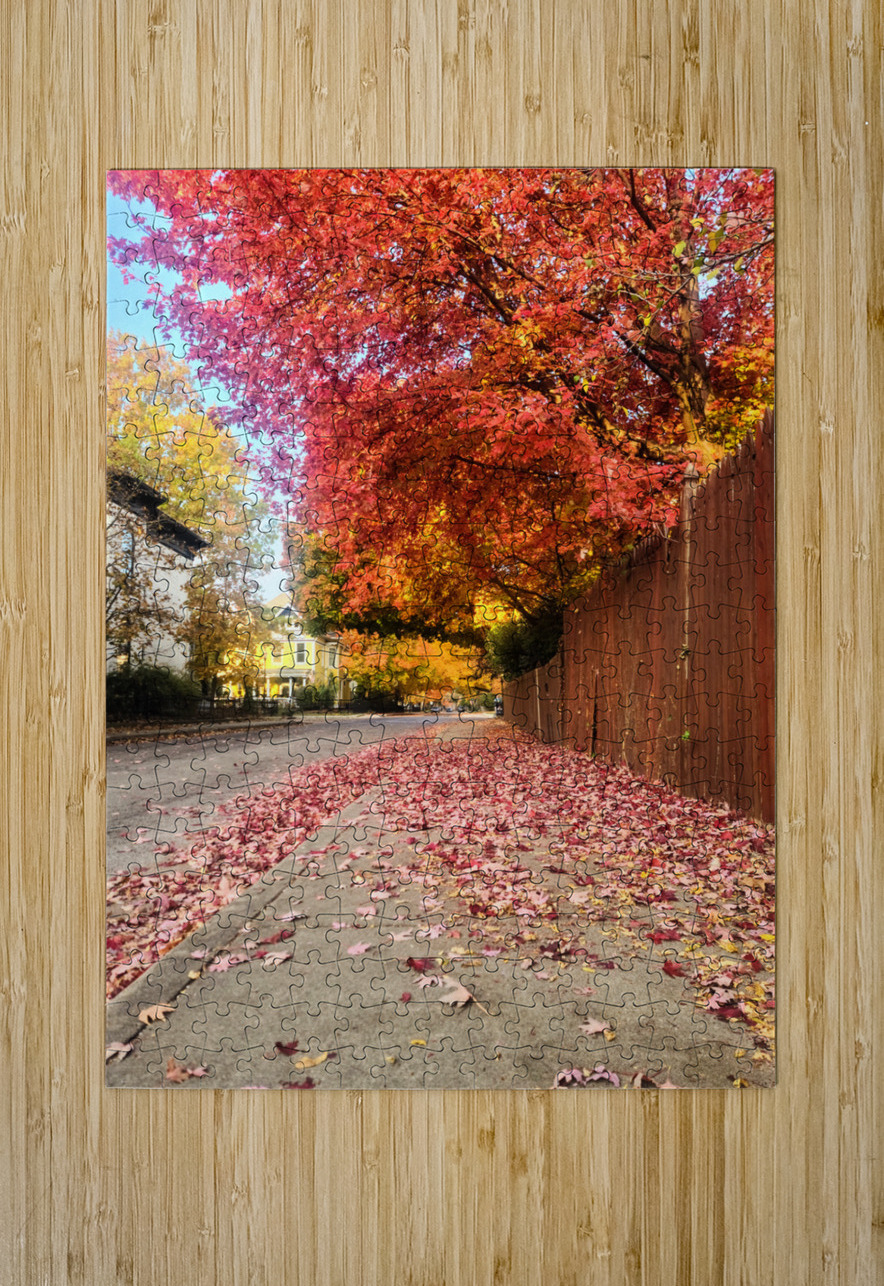 Fall Over the Fence  Click4Pix Puzzle printing