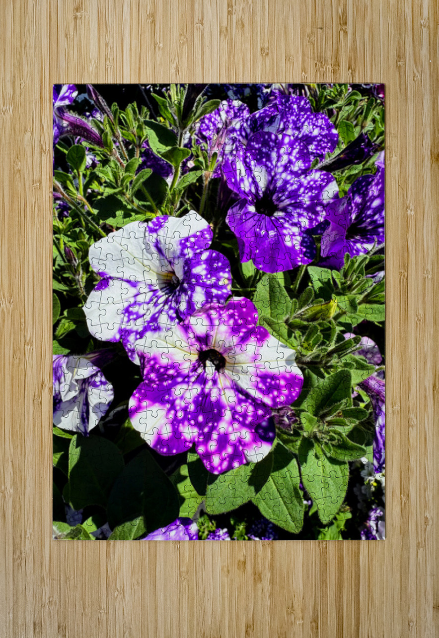 Starlight in Bloom Click4Pix Puzzle printing