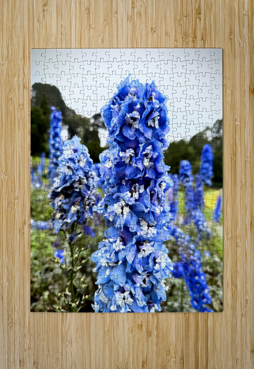Blue Spire in Bloomstorm: Larkspur Click4Pix Puzzle printing