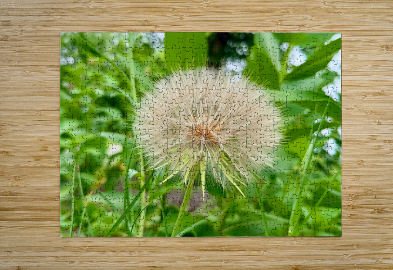 The Last Wishkeeper: Holding Dreams Before the Wind Click4Pix Puzzle printing